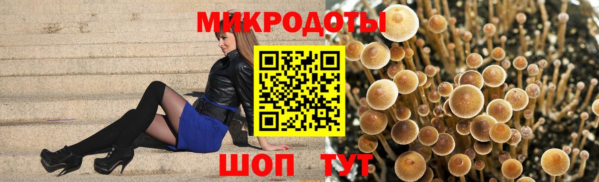 Галлюциногенные грибы мицелий  Вход с VPN  Тосно 
